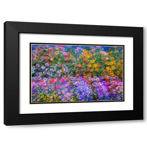 USA-Washington State-Pacific Northwest-Sammamish colorful flowers and blue picket fence Black Modern Wood Framed Art Print with Double Matting by Gulin, Sylvia