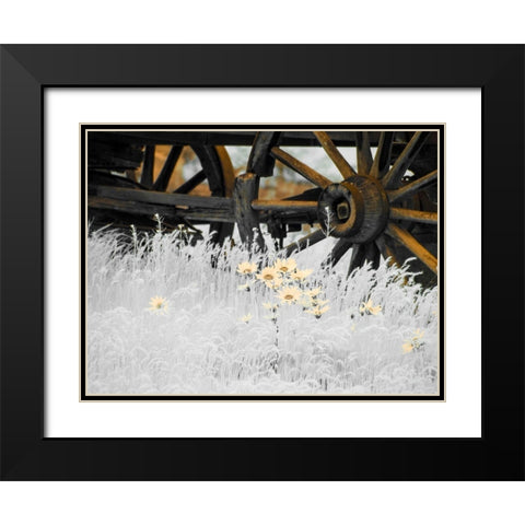 Wagon wheels with Spring wildflowers Black Modern Wood Framed Art Print with Double Matting by Eggers, Terry