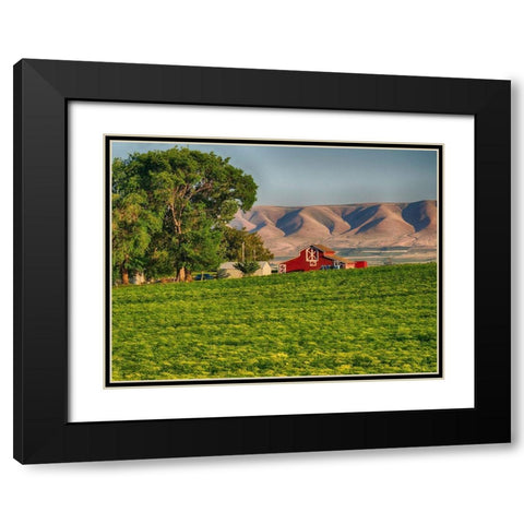 Evening light on red barn Black Modern Wood Framed Art Print with Double Matting by Eggers, Terry