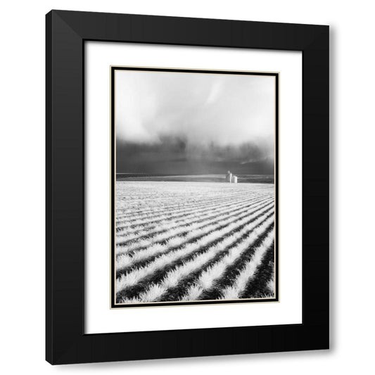 Perspective Image