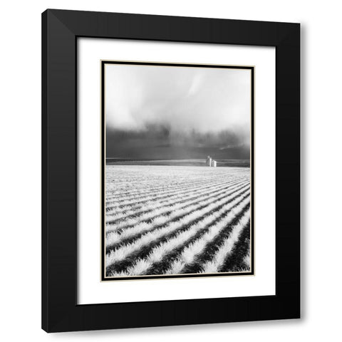 USA-Washington State-Silo with Storm front coming Black Modern Wood Framed Art Print with Double Matting by Eggers, Terry