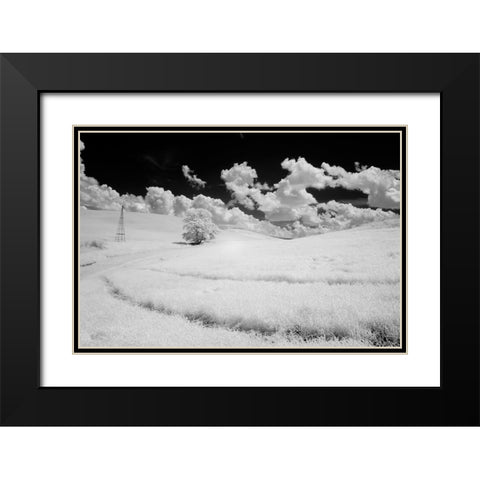 USA-Washington State-Lone tree in field of wheat Black Modern Wood Framed Art Print with Double Matting by Eggers, Terry