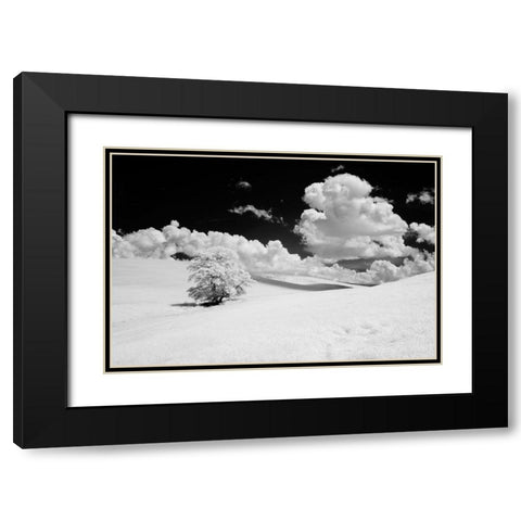 USA-Washington State-Lone tree in field of wheat Black Modern Wood Framed Art Print with Double Matting by Eggers, Terry