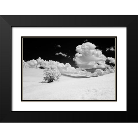 USA-Washington State-Lone tree in field of wheat Black Modern Wood Framed Art Print with Double Matting by Eggers, Terry