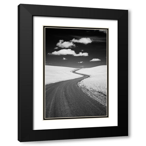 USA-Palouse Country-Washington State-Infrared Palouse fields and backroad Black Modern Wood Framed Art Print with Double Matting by Eggers, Terry