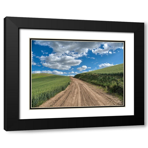 USA-Washington State-Palouse-Country Backroad through Spring wheat fields Black Modern Wood Framed Art Print with Double Matting by Eggers, Terry