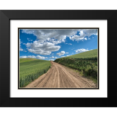 USA-Washington State-Palouse-Country Backroad through Spring wheat fields Black Modern Wood Framed Art Print with Double Matting by Eggers, Terry