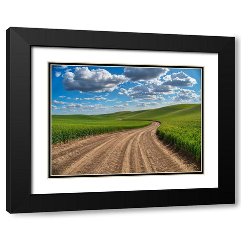 USA-Washington State-Palouse-Country Backroad through Spring wheat fields Black Modern Wood Framed Art Print with Double Matting by Eggers, Terry