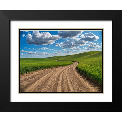 USA-Washington State-Palouse-Country Backroad through Spring wheat fields Black Modern Wood Framed Art Print with Double Matting by Eggers, Terry