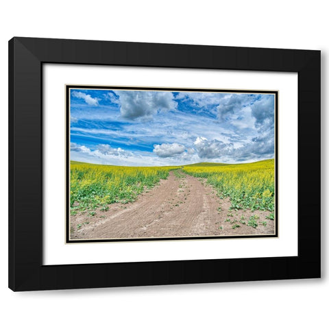USA-Washington State-Palouse-Country Backroad through Spring canola fields Black Modern Wood Framed Art Print with Double Matting by Eggers, Terry