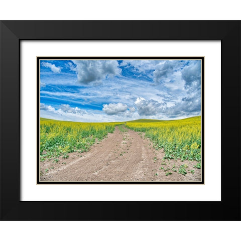 USA-Washington State-Palouse-Country Backroad through Spring canola fields Black Modern Wood Framed Art Print with Double Matting by Eggers, Terry