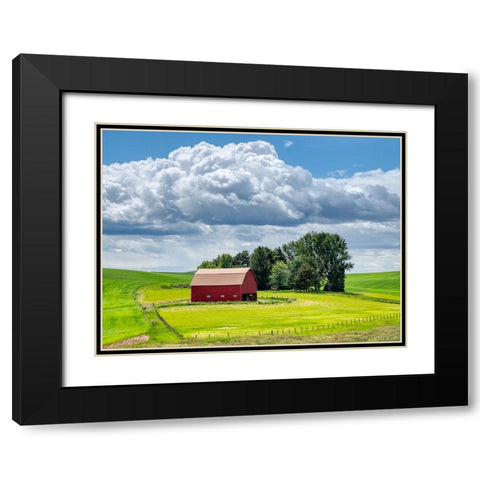 USA-Washington State-Palouse-Old Red barn with fresh green fields Black Modern Wood Framed Art Print with Double Matting by Eggers, Terry