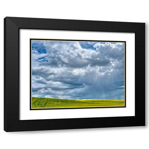 USA-Washington State-Palouse-Spring canola field with beautiful clouds Black Modern Wood Framed Art Print with Double Matting by Eggers, Terry