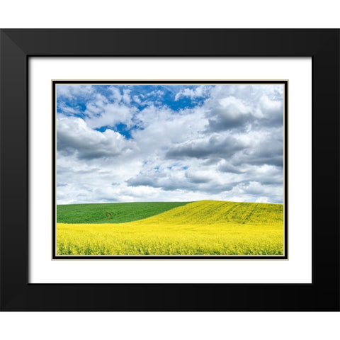 USA-Washington State-Palouse-Rolling hills of canola and wheat Black Modern Wood Framed Art Print with Double Matting by Eggers, Terry