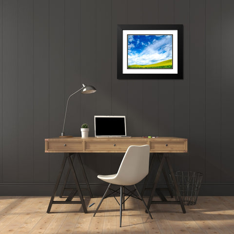USA-Washington State-Palouse-Spring canola field with beautiful clouds Black Modern Wood Framed Art Print with Double Matting by Eggers, Terry