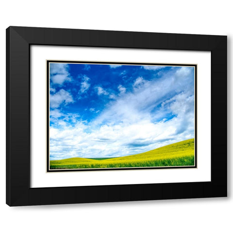 USA-Washington State-Palouse-Spring canola field with beautiful clouds Black Modern Wood Framed Art Print with Double Matting by Eggers, Terry