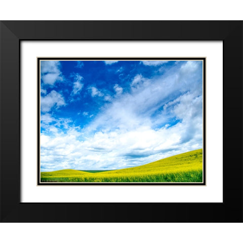USA-Washington State-Palouse-Spring canola field with beautiful clouds Black Modern Wood Framed Art Print with Double Matting by Eggers, Terry