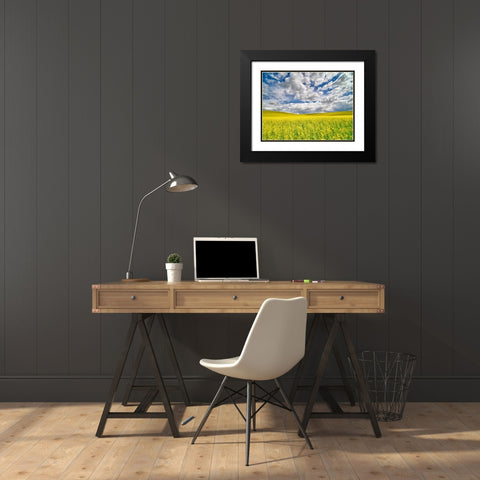 USA-Washington State-Palouse-Spring canola field with beautiful clouds Black Modern Wood Framed Art Print with Double Matting by Eggers, Terry