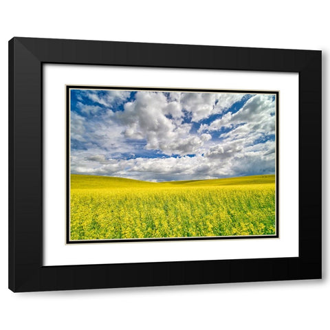 USA-Washington State-Palouse-Spring canola field with beautiful clouds Black Modern Wood Framed Art Print with Double Matting by Eggers, Terry