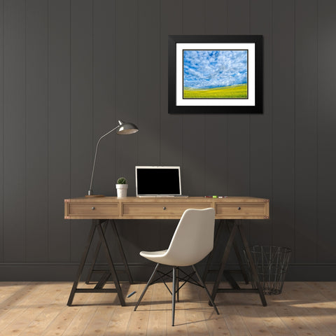 USA-Washington State-Palouse-Spring canola field with beautiful clouds Black Modern Wood Framed Art Print with Double Matting by Eggers, Terry