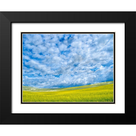 USA-Washington State-Palouse-Spring canola field with beautiful clouds Black Modern Wood Framed Art Print with Double Matting by Eggers, Terry
