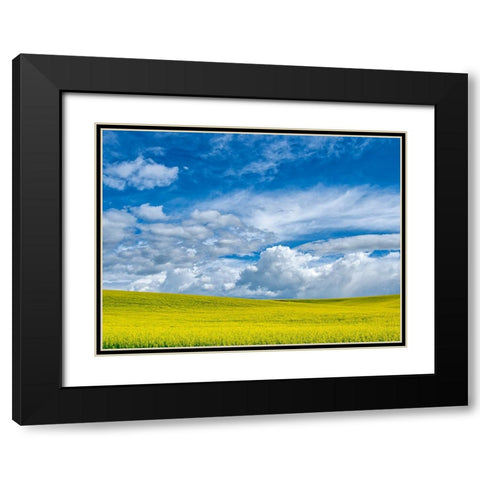 USA-Washington State-Palouse-Spring canola field with beautiful clouds Black Modern Wood Framed Art Print with Double Matting by Eggers, Terry