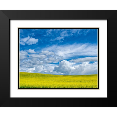 USA-Washington State-Palouse-Spring canola field with beautiful clouds Black Modern Wood Framed Art Print with Double Matting by Eggers, Terry