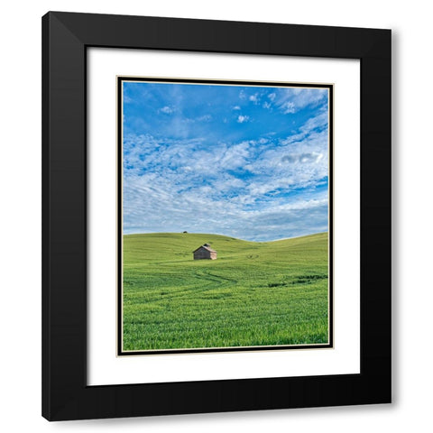USA-Washington State-Small barn and tracks in wheat field Black Modern Wood Framed Art Print with Double Matting by Eggers, Terry