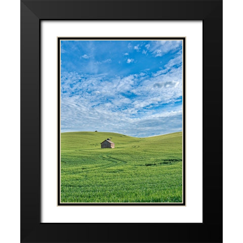 USA-Washington State-Small barn and tracks in wheat field Black Modern Wood Framed Art Print with Double Matting by Eggers, Terry