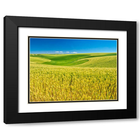USA-Washington State-Palouse Region-Patterns in the fields of wheat Black Modern Wood Framed Art Print with Double Matting by Eggers, Terry