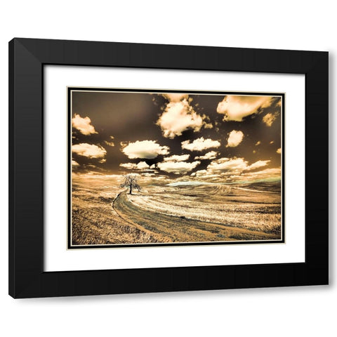 USA-Washington State-Palouse-Country backroad with lone tree Black Modern Wood Framed Art Print with Double Matting by Eggers, Terry