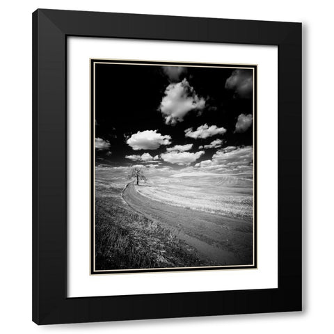 USA-Washington State-Palouse-Crops growing on the rolling hills of the Palouse Black Modern Wood Framed Art Print with Double Matting by Eggers, Terry