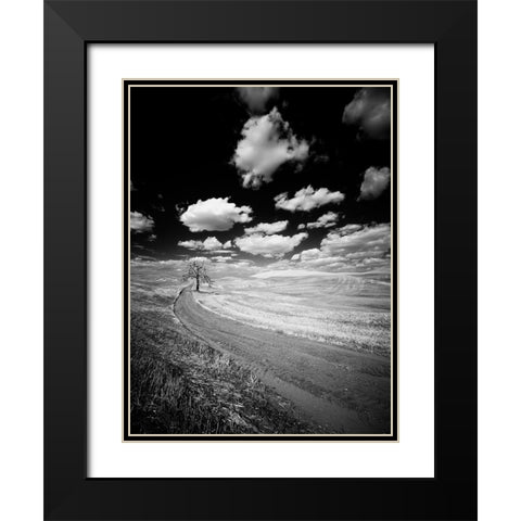 USA-Washington State-Palouse-Crops growing on the rolling hills of the Palouse Black Modern Wood Framed Art Print with Double Matting by Eggers, Terry