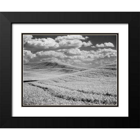 USA-Washington State-Palouse-Crops growing on the rolling hills of the Palouse Black Modern Wood Framed Art Print with Double Matting by Eggers, Terry