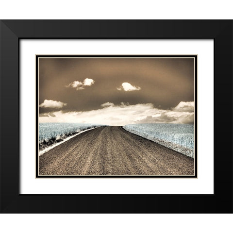 USA-Washington State-Palouse-Country backroad through spring crops Black Modern Wood Framed Art Print with Double Matting by Eggers, Terry