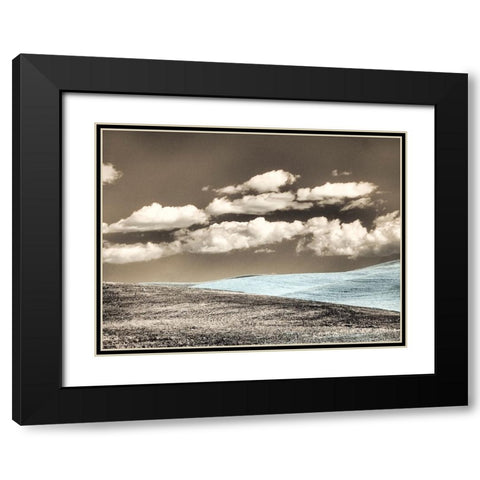 USA-Washington State-Palouse-Crops growing on the rolling hills of the Palouse Black Modern Wood Framed Art Print with Double Matting by Eggers, Terry
