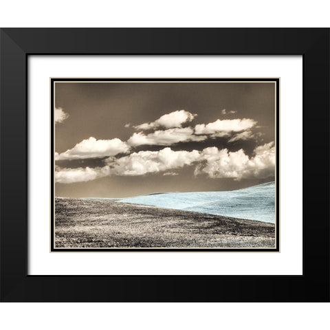 USA-Washington State-Palouse-Crops growing on the rolling hills of the Palouse Black Modern Wood Framed Art Print with Double Matting by Eggers, Terry