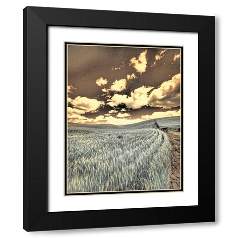 USA-Washington State-Palouse-Crops growing on the rolling hills of the Palouse Black Modern Wood Framed Art Print with Double Matting by Eggers, Terry