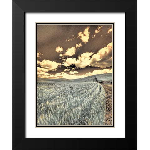 USA-Washington State-Palouse-Crops growing on the rolling hills of the Palouse Black Modern Wood Framed Art Print with Double Matting by Eggers, Terry