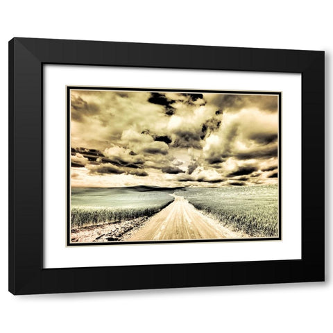 USA-Washington State-Palouse-Country backroad through spring crops Black Modern Wood Framed Art Print with Double Matting by Eggers, Terry