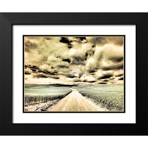 USA-Washington State-Palouse-Country backroad through spring crops Black Modern Wood Framed Art Print with Double Matting by Eggers, Terry