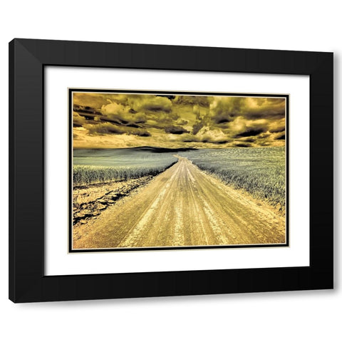 USA-Washington State-Palouse-Country backroad through spring crops Black Modern Wood Framed Art Print with Double Matting by Eggers, Terry