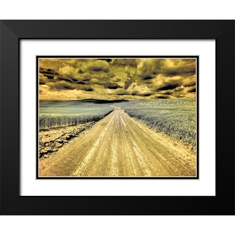 USA-Washington State-Palouse-Country backroad through spring crops Black Modern Wood Framed Art Print with Double Matting by Eggers, Terry