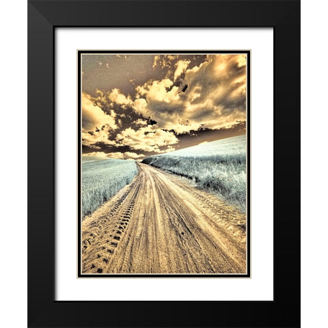 USA-Washington State-Palouse-Country backroad through spring crops Black Modern Wood Framed Art Print with Double Matting by Eggers, Terry