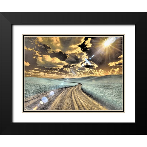 USA-Washington State-Palouse-Country backroad through spring crops Black Modern Wood Framed Art Print with Double Matting by Eggers, Terry