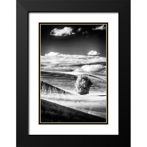 USA-Palouse Country-Washington State-Infrared Palouse fields and lone tree Black Modern Wood Framed Art Print with Double Matting by Eggers, Terry
