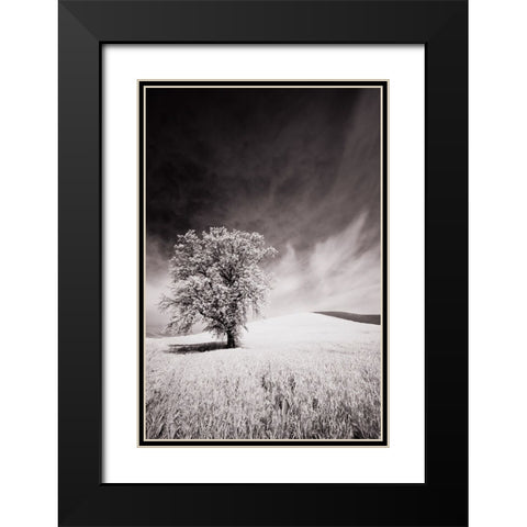 USA-Palouse Country-Infrared Palouse fields and lone tree Black Modern Wood Framed Art Print with Double Matting by Eggers, Terry