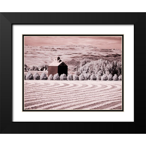 USA-Washington State-Palouse-Harvest lies in field with barn Black Modern Wood Framed Art Print with Double Matting by Eggers, Terry