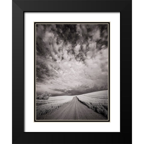 USA-Washington State-Palouse-Backcountry road through wheat field and clouds Black Modern Wood Framed Art Print with Double Matting by Eggers, Terry