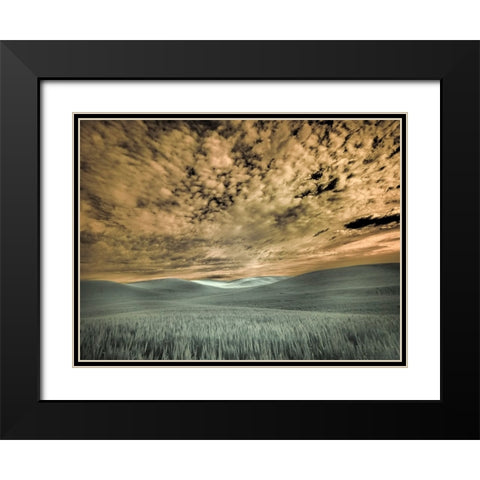 USA-Washington State-Palouse-wheat field and clouds Black Modern Wood Framed Art Print with Double Matting by Eggers, Terry